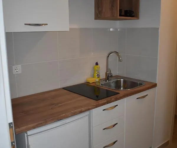 Apartment Iliskovic *