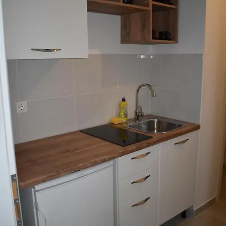 Apartment Iliskovic *